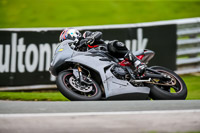 PJ-Motorsport-2019;anglesey;brands-hatch;cadwell-park;croft;donington-park;enduro-digital-images;event-digital-images;eventdigitalimages;mallory;no-limits;oulton-park;peter-wileman-photography;racing-digital-images;silverstone;snetterton;trackday-digital-images;trackday-photos;vmcc-banbury-run;welsh-2-day-enduro